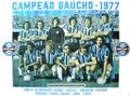Equipe Grêmio 1977 - Poster - Campeao Gaucho 1977.jpg