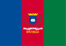 Bandeira de Ipatinga-MG-BRA.png