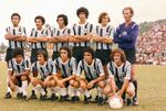 Palmeira pato branco 3x7 gremio.jpg