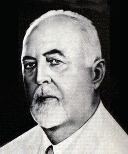 Henrique Augusto Koch