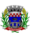 Escudo Seleção de Cachoeirinha.png