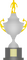 Taça Piratini.png