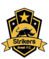 Escudo Strikers.png