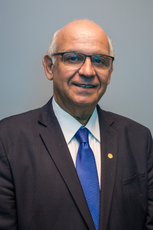 Romildo Bolzan Júnior.png