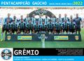 Equipe Grêmio 2022 a.jpg