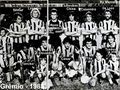 1983.01.30 - Grêmio 2 x 0 Ponte Preta - Foto.jpg