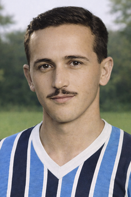 Edmundo Guimarães Junior.png