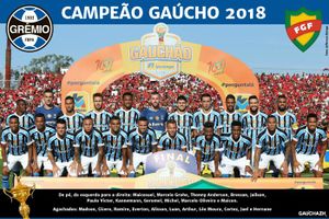 Poster Grêmio Campeão Gaúcho de 2018.jpg