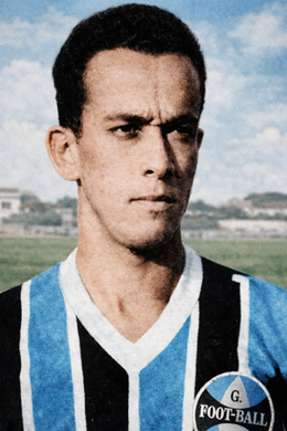 Darcy Almeida Duarte.png