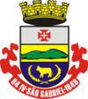 Escudo Seleção de São Gabriel.png