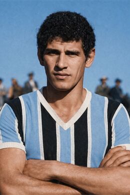Joel Gonçalves Roland.jpg