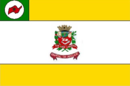 Bandeira de Novo Horizonte-SP-BRA.png
