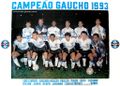 Equipe Grêmio 1993 B.jpg