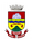Escudo Seleção de Erechim.png
