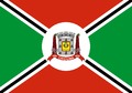 Bandeira de Criciúma.png