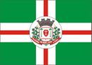Bandeira de São Miguel do Oeste-SC-BRA.jpg