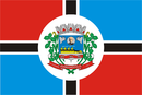 Bandeira de Rondonópolis-MT-BRA.png
