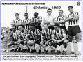 Equipe Grêmio 1960 F.jpg