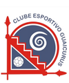 Escudo Guaicurus.png